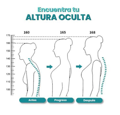 Corrector Postura